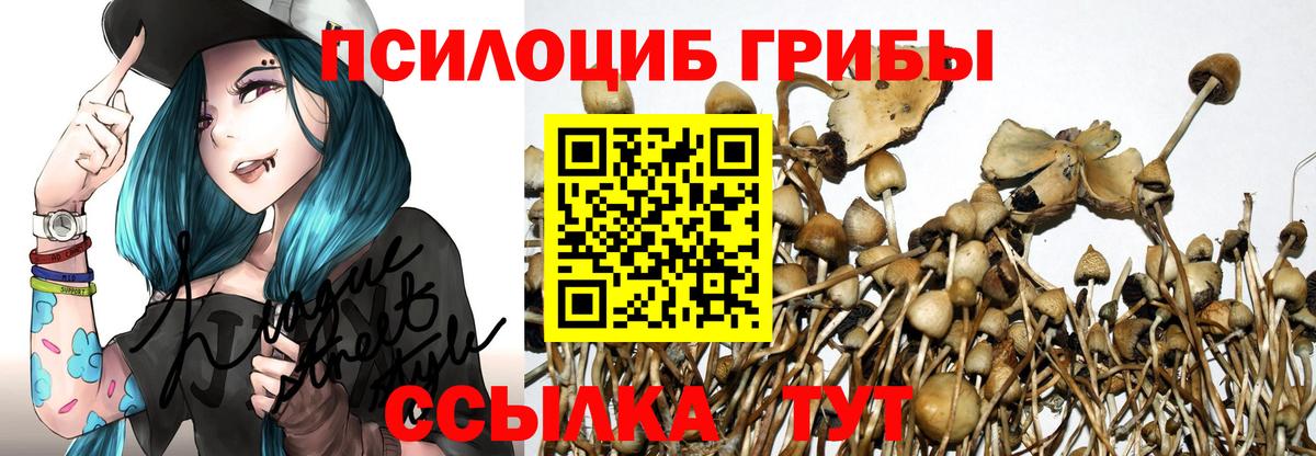 Галлюциногенные грибы MAGIC MUSHROOMS Семёнов